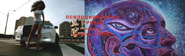 марки lsd Лагань
