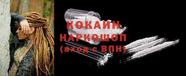 PSILOCYBIN Лабытнанги