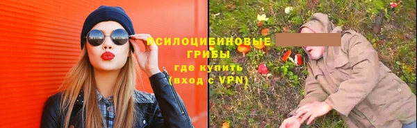 PSILOCYBIN Лабытнанги