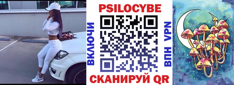 Псилоцибиновые грибы мицелий  где найти   Лосино-Петровский 