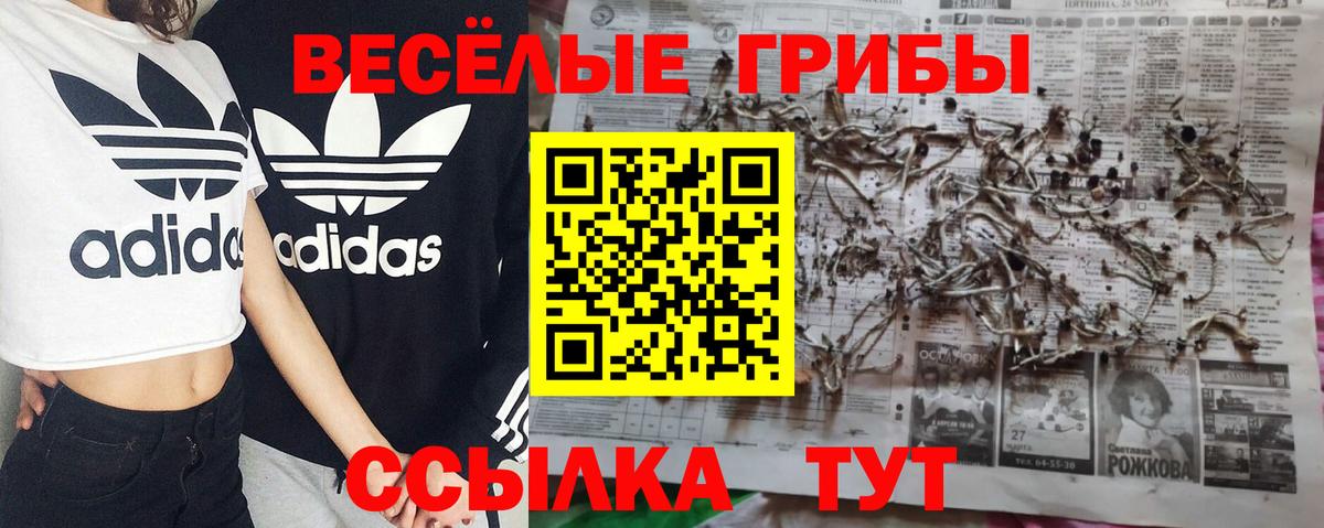 Псилоцибиновые грибы GOLDEN TEACHER  Вход с VPN  Лосино-Петровский 