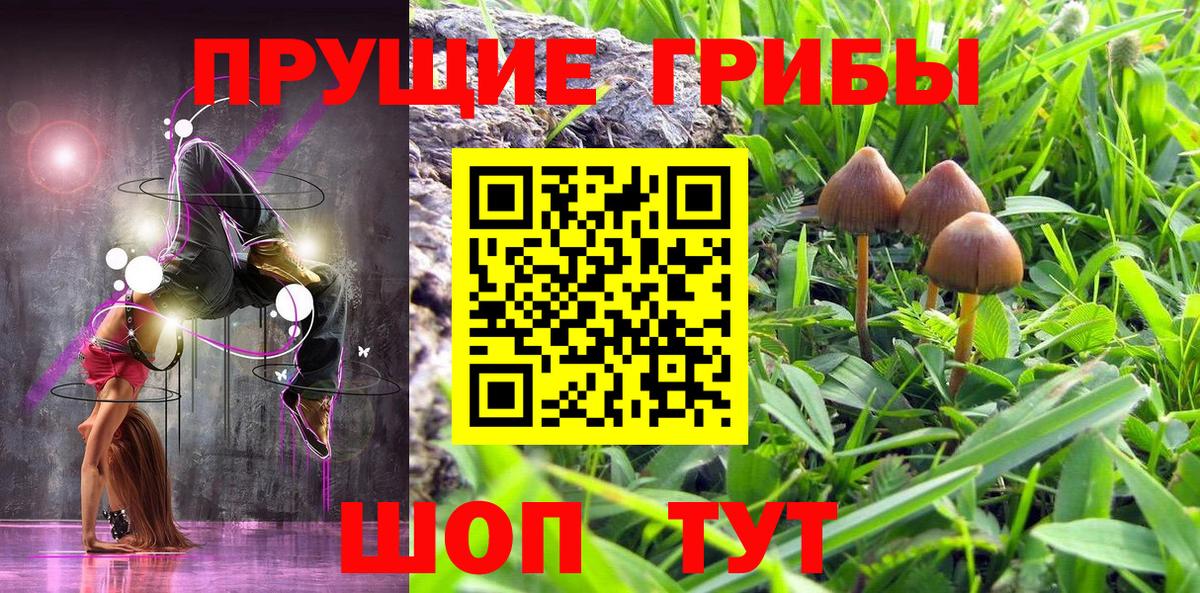 Псилоцибиновые грибы Psilocybe Лосино-Петровский